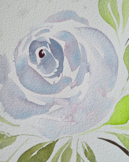 Akwarelowa ilustracja „Róża” A4 z ramką